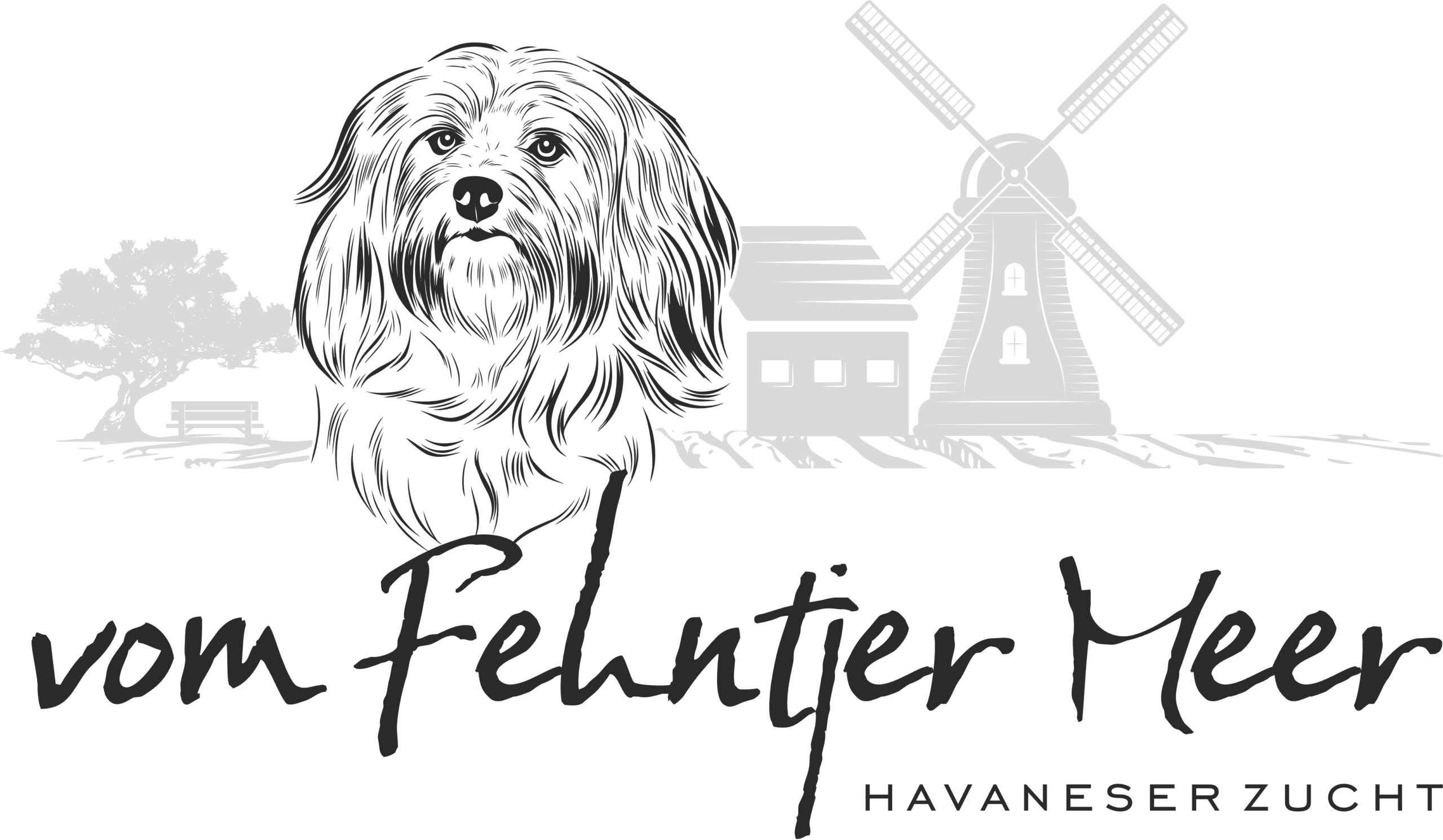 Havaneser vom Fehntjer Meer
